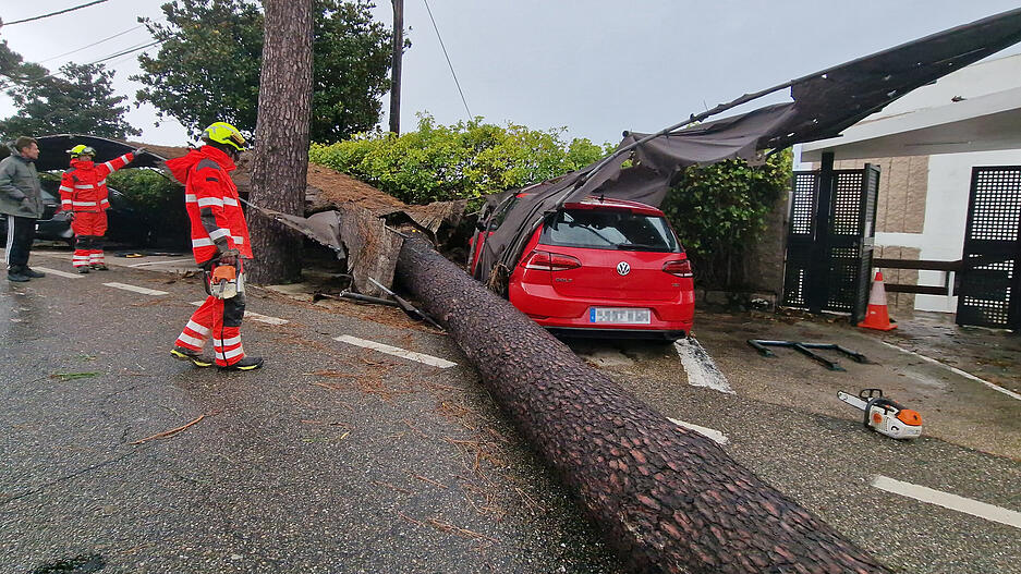 Feuerwehrleute entfernen in Vigo, an der Nordwestküste Spaniens, einen umgestürzten Baum von der Straße, den der Sturm «Ciaran» («Emir») umgeweht hatte.