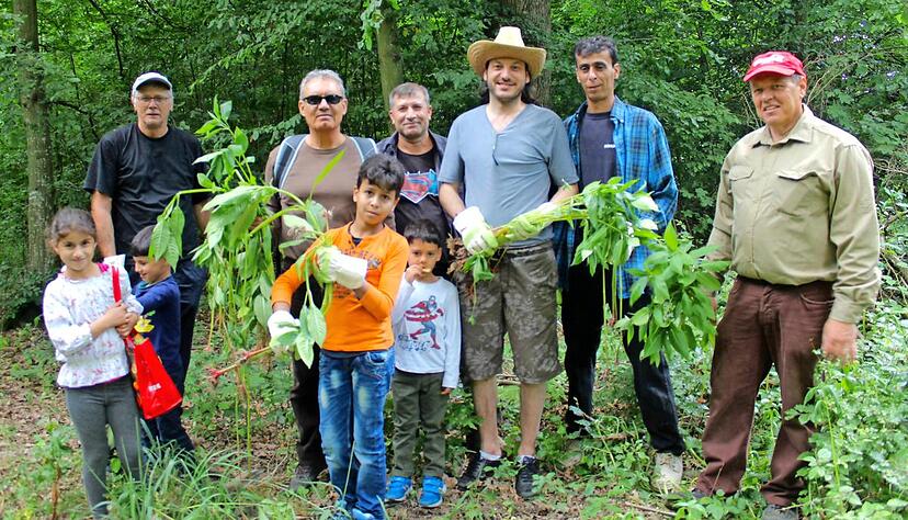 Eine muntere Truppe war am Wochenende im Wald anzutreffen, um der indischen Springpflanze den Garaus zu machen. Foto: Evie Sturm