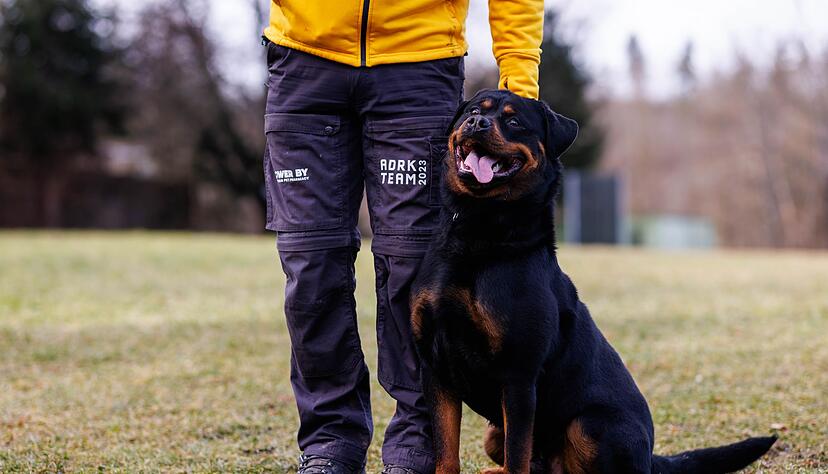 Die gezielte Rottweiler-Zucht fand der Legende nach in Deutschland statt, und zwar in der Region um Rottweil.
