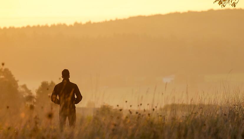Herbstnebel bestimmt den Start in den Tag.