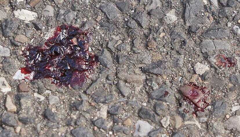 Der bei dem Messerangriff eines Elfj&auml;hrigen verletzte 13-j&auml;hrige Junge konnte das Krankenhaus wieder verlassen.