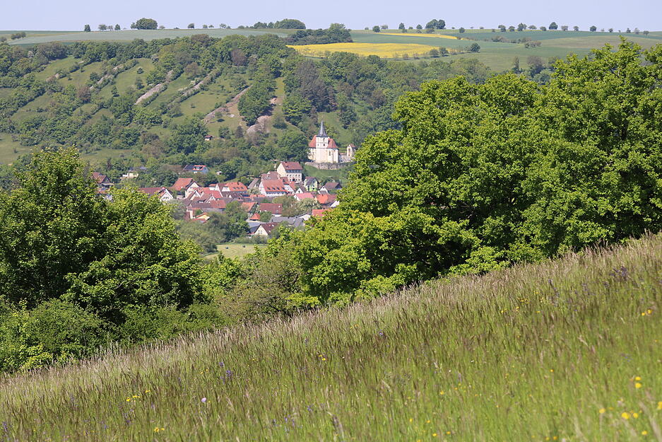 Bei der Jagsttal-Wiesen-Wanderung ging es am Samstag von Ailringen nach Unterregenbach. Auf 19 Kilometern konnten die Wanderer die Landschaft genießen. Bei der Jagsttal-Wiesen-Wanderung ging es am Samstag von Ailringen nach Unterregenbach. Auf 19 Kilometern konnten die Wanderer die Landschaft genießen.