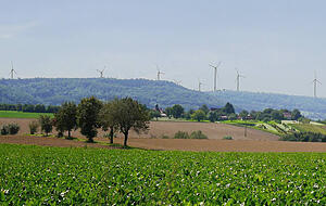 So wie auf dieser Visualisierung könnten die neun Windkraftanlagen, die südlich von Waldenburg entstehen sollen, aus Blickrichtung Neuenstein aussehen &minus; wenn sie denn irgendwann genehmigt werden sollten. 
Visualisierung: Abo Wind