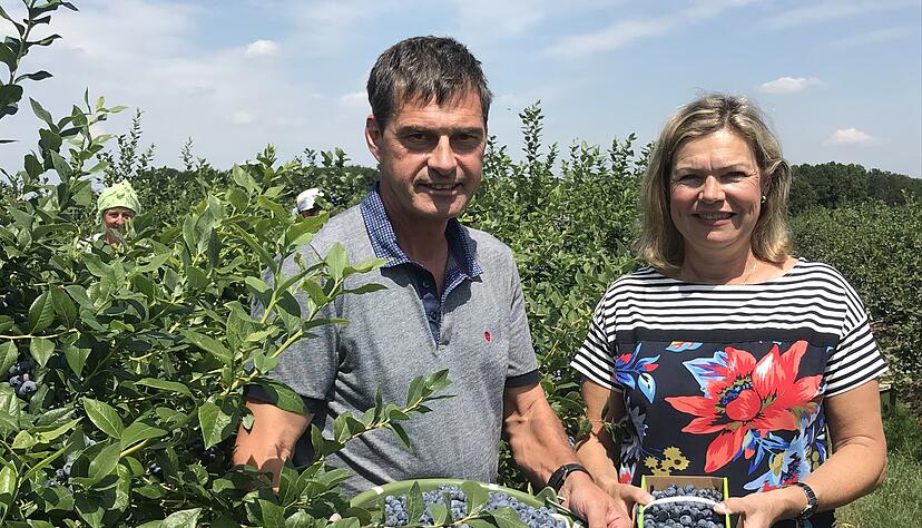Albrecht und Ulrike Gerhäusser freuen sich über ein gutes Heidelbeer-Jahr 2019. Die Ernte ist Handarbeit, die polnische Pflückerinnen übernehmen.
Fotos: Claudia Kostner Albrecht und Ulrike Gerhäusser freuen sich über ein gutes Heidelbeer-Jahr 2019. Die Ernte ist Handarbeit, die polnische Pflückerinnen übernehmen.
Fotos: Claudia Kostner