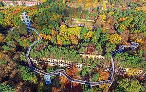 Die Beelitz-Heilst&auml;tten mit Baumkronenpfad aus der Vogelperspektive.
