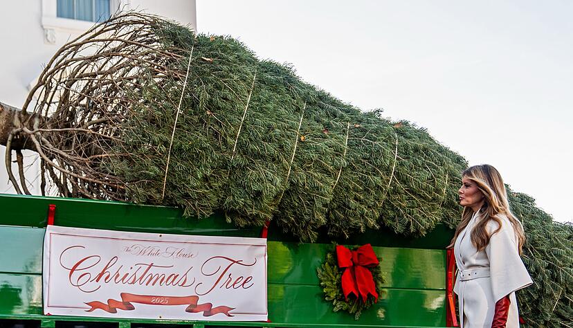 Melanie Trump nimmt den Weihnachtsbaum in Empfang. Melanie Trump nimmt den Weihnachtsbaum in Empfang.