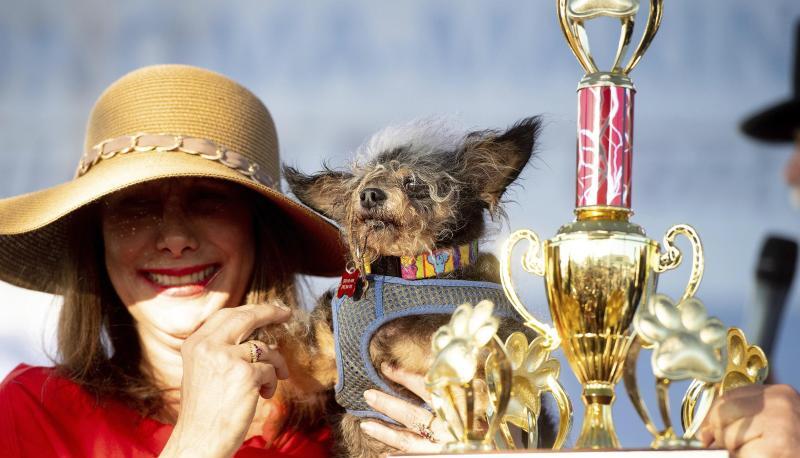 Darlene Wright mit ihren Hund «Scamp the Tramp» und Pokal beim «World's Ugliest Dog Contest» in Petaluma. Darlene Wright mit ihren Hund «Scamp the Tramp» und Pokal beim «World's Ugliest Dog Contest» in Petaluma.