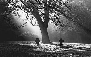 Im Köpfertal wurden 4985 Menschen in Massengräbern verscharrt. Foto: Archiv Im Köpfertal wurden 4985 Menschen in Massengräbern verscharrt. Foto: Archiv