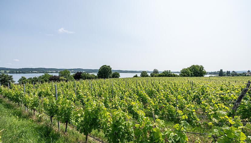 Nicht überall ist der Sonnenschein ungetrübt - wegen der Waldbrände in Kanada ist der Himmel über Baden-Württemberg teilweise milchig. Nicht überall ist der Sonnenschein ungetrübt - wegen der Waldbrände in Kanada ist der Himmel über Baden-Württemberg teilweise milchig.