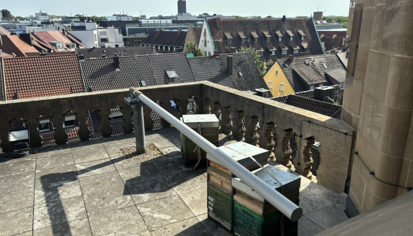 Die Bienenstöcke dienen der Herstellung des Kirchenhonigs Die Bienenstöcke dienen der Herstellung des Kirchenhonigs