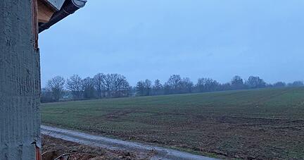 Noch ist der Blick aufs Feld unverbaut. Wenn die Pläne zur Reaktivierung der Krebsbachtalbahn realisiert werden, würde sich das ändern.
Foto: Elfi Hofmann