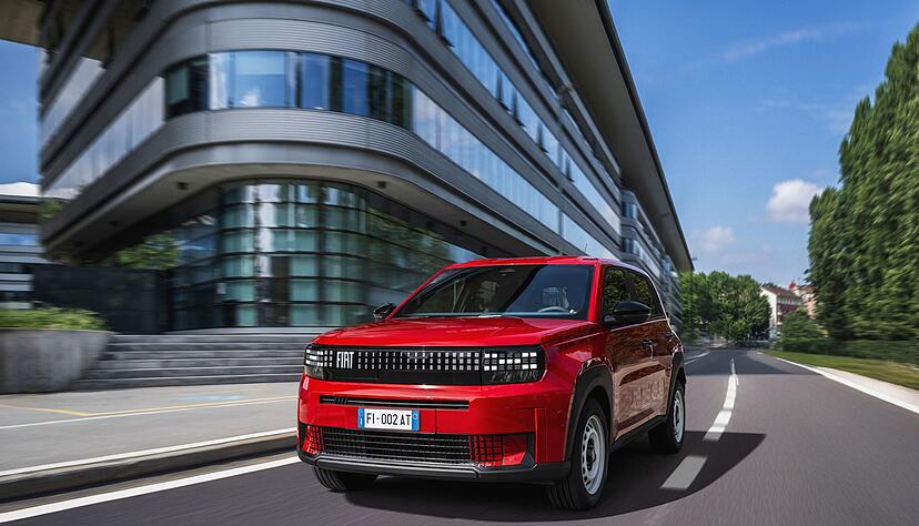 Los geht's, gro&szlig;es B&auml;rchen: Das zeigt sich quirlig in der Stadt und schwimmt auf der Autobahn gem&auml;chlich mit.