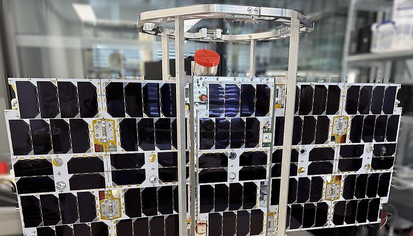 Der erste neue Empfänger des Tierbeobachtungsprojekts «Icarus» ist ins All geflogen.