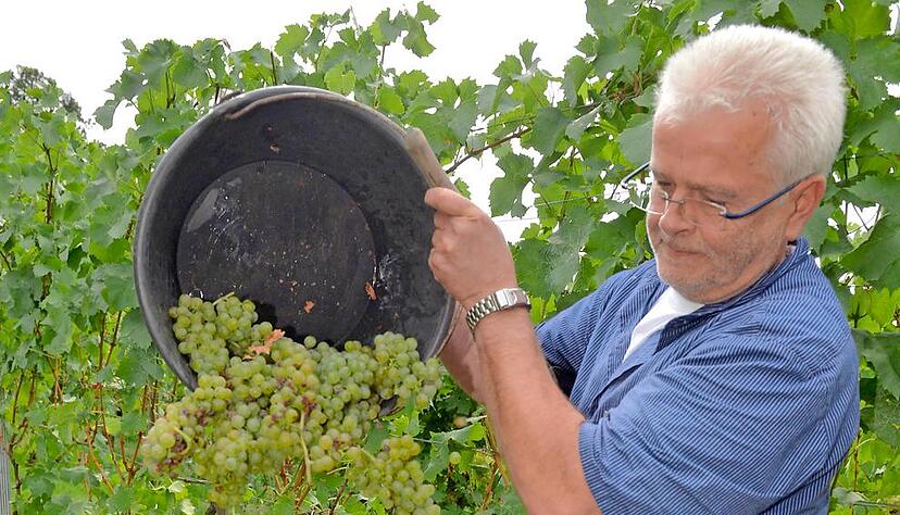 Tags im Wengert, abends im Weindorf: Winzer Jürgen Müller aus Heilbronn. Tags im Wengert, abends im Weindorf: Winzer Jürgen Müller aus Heilbronn.
