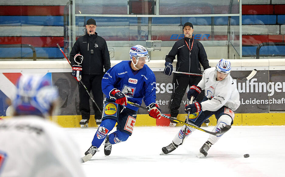 Co-Trainer Heilbronner Falken Martin Jiranek Co-Trainer Heilbronner Falken Martin Jiranek