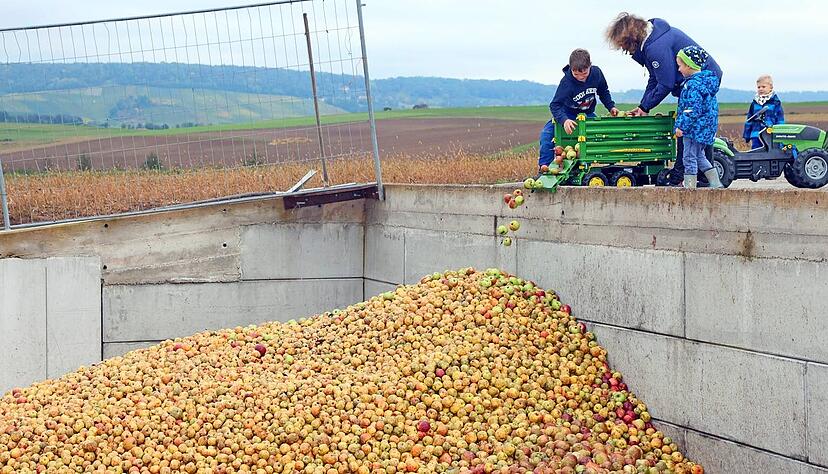 Mama Lydia Emser hilft mit, die Äpfel der Sorte Brettacher auf den großen Haufen zu kippen.