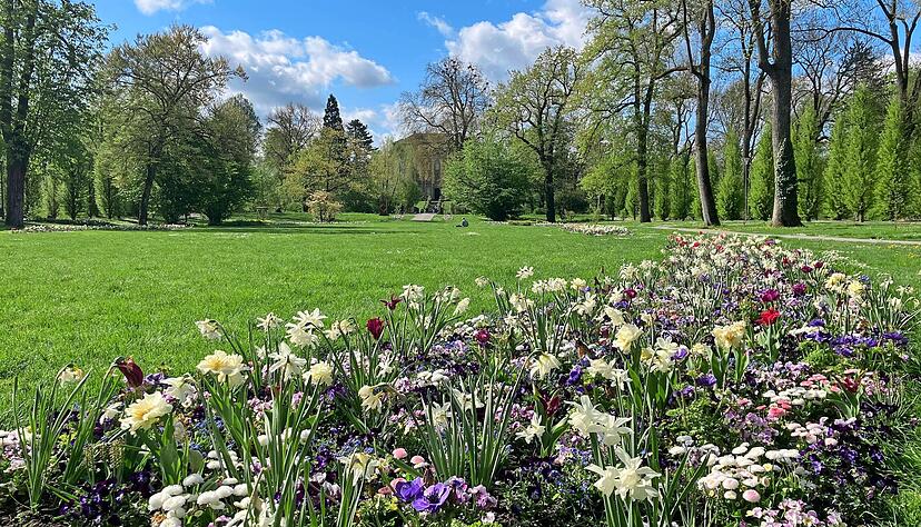 Der Hofgarten erstrahlt zum Jubil&auml;um der Landesgartenschau in diesem Jahr besonders sch&ouml;n. Die Laga-Freunde f&uuml;hren die Leser am 5. Mai &uuml;ber das Gel&auml;nde und erz&auml;hlen, wie die Landesgartenschau 2016 die Stadt ver&auml;ndert hat &ndash; und was zum Jubil&auml;um geboten sein wird.