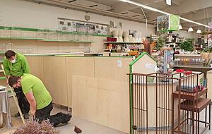 Bauarbeiten an der neuen Floristik-Theke f&uuml;r Schnittblumen bei der &Ouml;hringer BAG: Auch eine pers&ouml;nliche Beratung der Kunden ist hier dann vorgesehen.