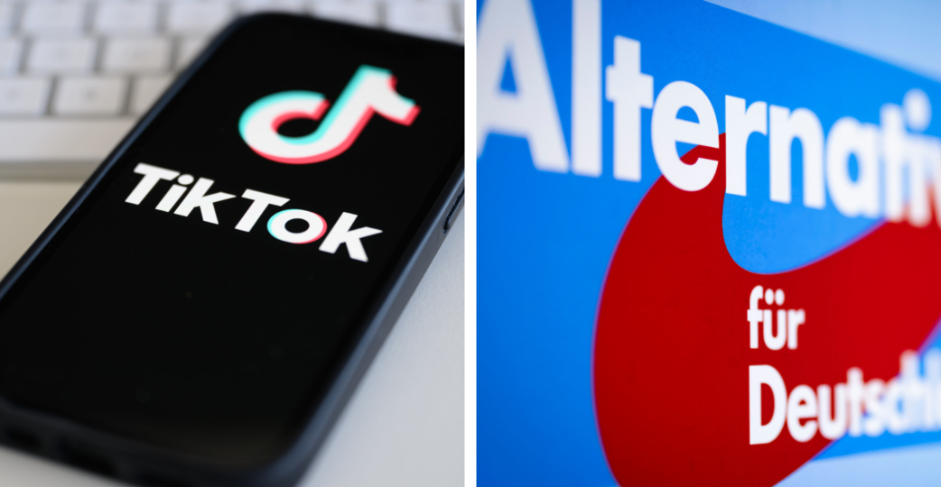 Social Media könnte ein Grund sein, warum junge Leute die AfD wählen.