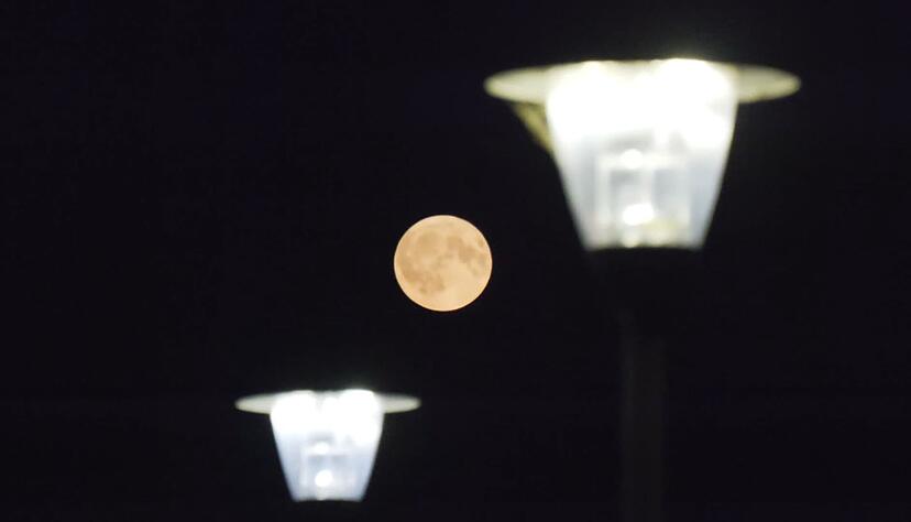 Ein «Supermond» leuchet hell und groß am Nachthimmel. Ein «Supermond» leuchet hell und groß am Nachthimmel.