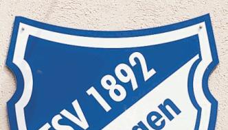 Das Original: So sieht das Wappen des TSV Ittlingen aus.Foto: Eric Schmidt Das Original: So sieht das Wappen des TSV Ittlingen aus.Foto: Eric Schmidt