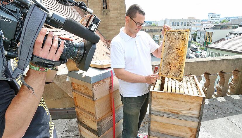 Honig auf der Kilianskirche Honig auf der Kilianskirche