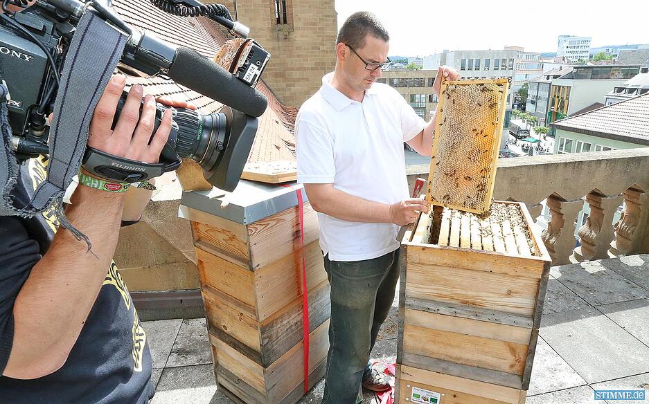 Honig auf der Kilianskirche Honig auf der Kilianskirche