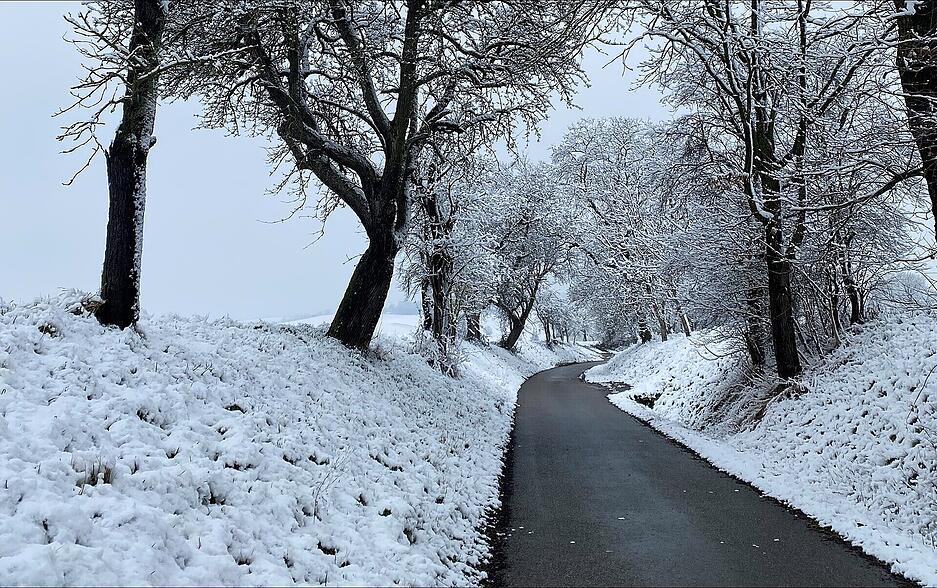 Der Winter hat die Natur am Sonntag fest im Griff – so wie hier im Hohenlohekreis. Der Winter hat die Natur am Sonntag fest im Griff – so wie hier im Hohenlohekreis.