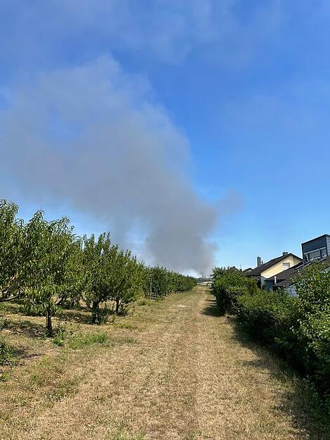 Auch über Bitzfeld zog die Rauchwolke hinweg.