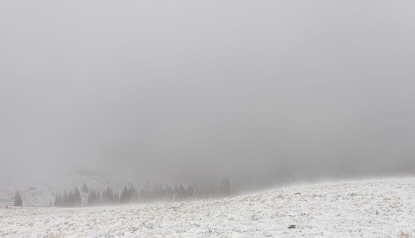 Auf dem Feldberg liegt Schnee.