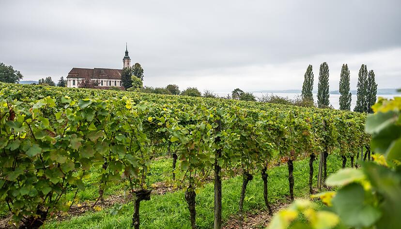 Wer heute ins Freie will, muss immer wieder mit Regen rechnen. (Archivbild)