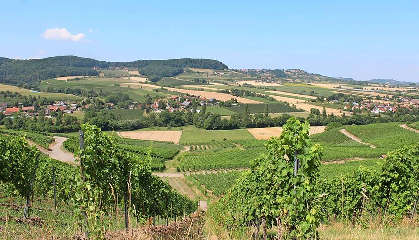 Die zwei Vereine TG Hohenlohe (Hohenlohekreis) und Hohenlohe und Schwäbisch Hall Tourismus (Kreis Hall) wollen eine einheitliche Marke kreieren. Die zwei Vereine TG Hohenlohe (Hohenlohekreis) und Hohenlohe und Schwäbisch Hall Tourismus (Kreis Hall) wollen eine einheitliche Marke kreieren.