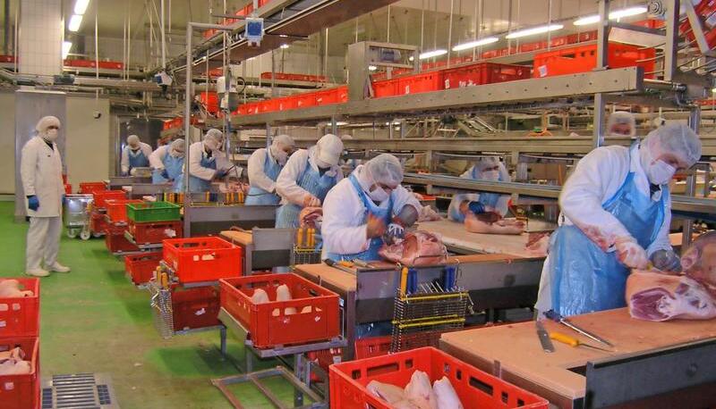 Zerteilen, verpacken, verschicken: Die Arbeit im Fleischwerk Möckmühl verlangt Mitarbeitern einiges ab. Wer hier bei bestimmten Zeitarbeitsfirmen angestellt ist, hat zusätzlich mit schwierigen Rahmenbedingungen zu kämpfen. Foto: Archiv/Stockburger Zerteilen, verpacken, verschicken: Die Arbeit im Fleischwerk Möckmühl verlangt Mitarbeitern einiges ab. Wer hier bei bestimmten Zeitarbeitsfirmen angestellt ist, hat zusätzlich mit schwierigen Rahmenbedingungen zu kämpfen. Foto: Archiv/Stockburger