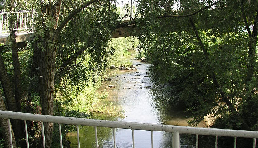 Der Lauf der Bottwar im Abschnitt von Oberstenfeld.