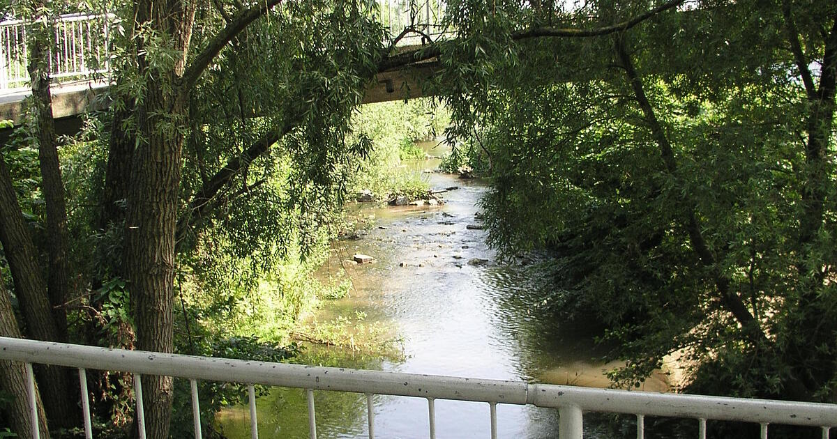 Cause of fish deaths in the Bottwar near Oberstenfeld identified