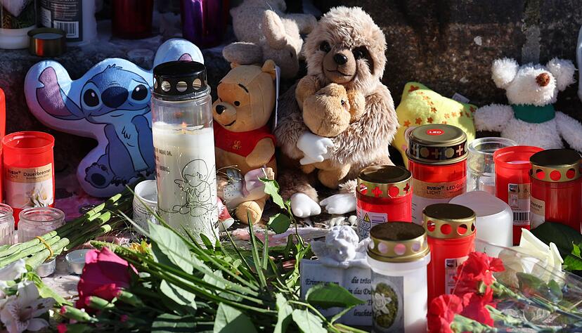 Der Fund einer Kinderleiche nahe G&uuml;strow ersch&uuml;ttert die Region.