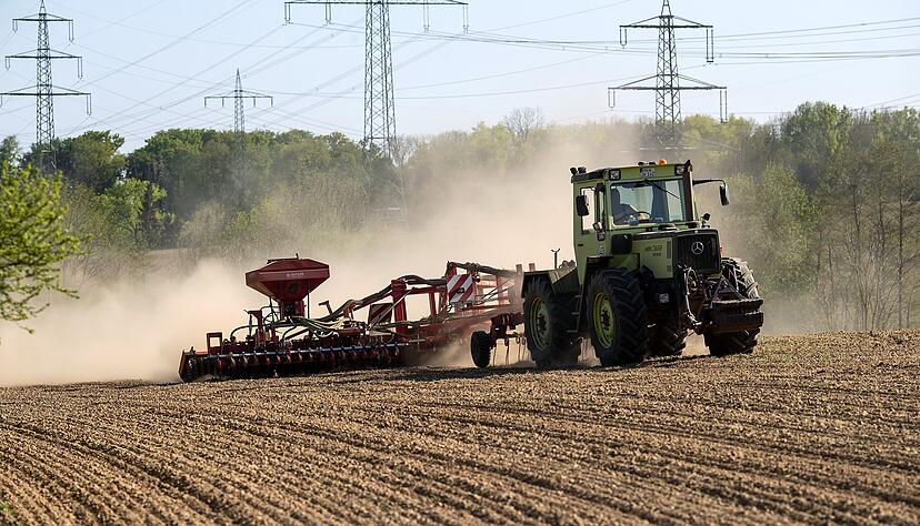 Der trockene Sommer macht auch den Bauern zu schaffen. Der trockene Sommer macht auch den Bauern zu schaffen.