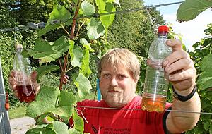 Holger Schwarz war ein gro&szlig;er T&uuml;ftler, entwickelte unter anderem eine Strategie gegen die Kirschessigfliege.