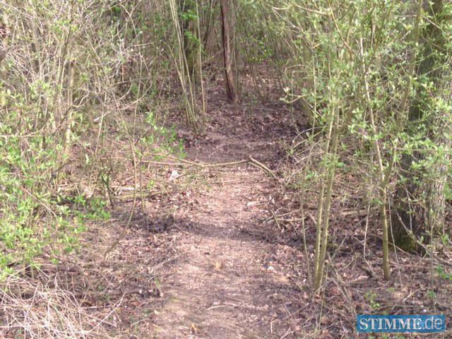 Leichenfund bei Neuenstadt Leichenfund bei Neuenstadt