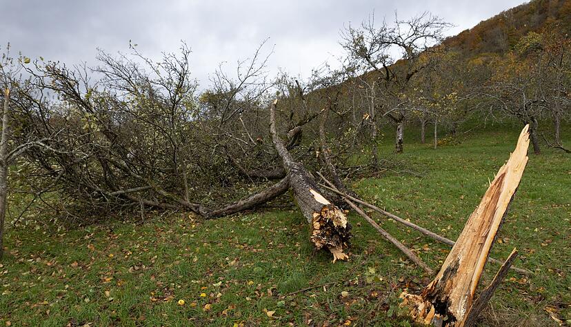 Ein Tornado ist über Sulzbach an der Murr gezogen. (Foto-Archiv) Ein Tornado ist über Sulzbach an der Murr gezogen. (Foto-Archiv)