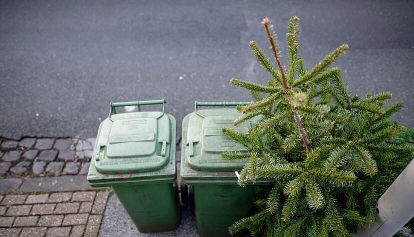 Weihnachtsb&auml;ume sollten weder im Ofen verbrannt noch an Haustiere verf&uuml;ttert werden.
