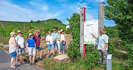 Wengerter-Urgestein Martin Heinrich, auch Namensgeber für das Ausschankhäuschen am Wartberg, führte Leser über den Wein-Panorama-Weg.
Foto: Christiana Kunz