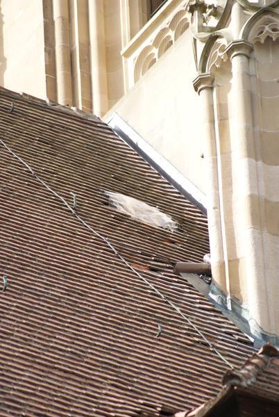 Steinschlag an Kilianskirche | 10.04.