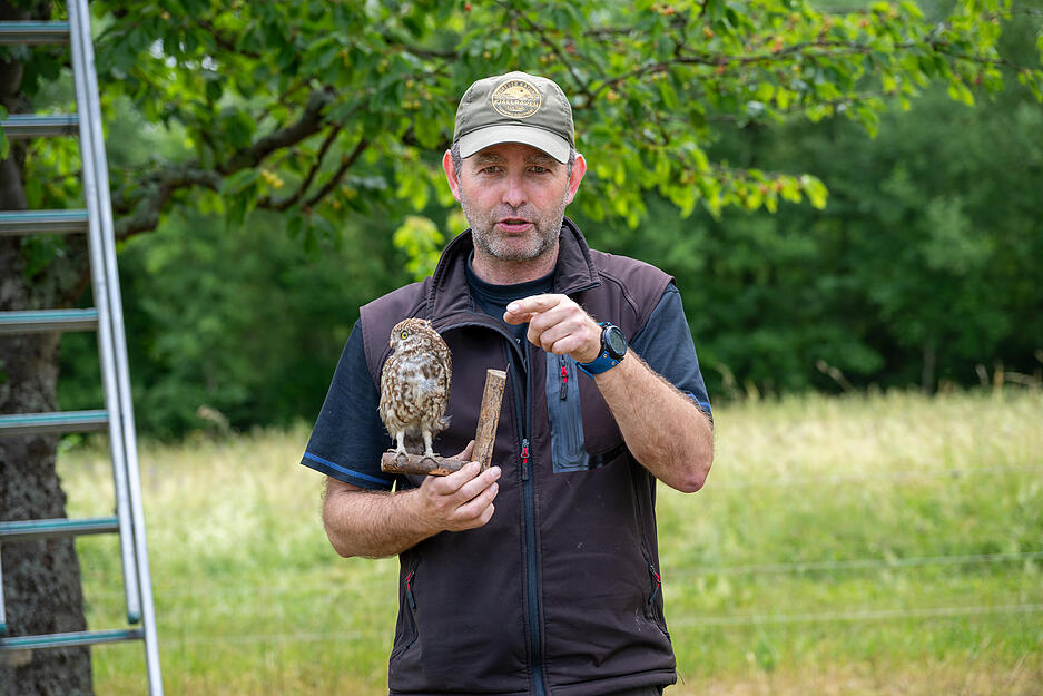 Die Obstbaumwiese eignet sich bestens f&uuml;r Eulenarten, die in Baumstammh&ouml;hlen br&uuml;ten.