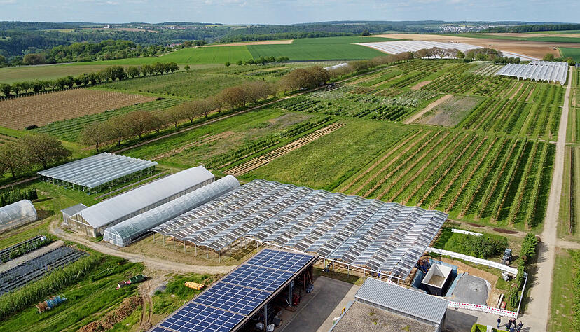 Einweihung der Agrar-PV-Anlage im Obstversuchsgut Heuchlingen in Bad Friedrichshall. Pilotprojekt des Landes Baden-Württemberg. Beerenobstanlage unter APV-Überdachung.