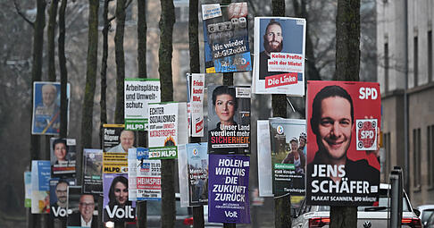 Wahlplakate für die Bundestagswahl 2025 hängen dicht hintereinander an Bäumen an einer Zufahrtsstraße. (Symbolfoto).