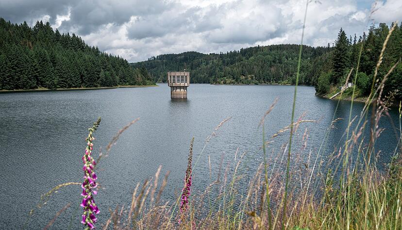 Bei den Pl&auml;nen zur St&auml;rkung der Fernwasserversorgung in Bayern r&uuml;ckt die Option einer dritten Talsperre, wie hier die K&ouml;deltalsperre in Oberfranken, in den Fokus. (Archivbild)