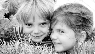 Mit der Nase im Currykraut schnuppern - STIMME.de