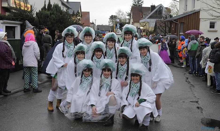 Faschingsumzug Gundelsheim | 9.2.