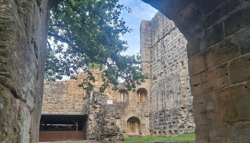 Ist bei der Burgruine Blankenhorn nahe Güglingen ein Höllenhund mit feurigen Augen unterwegs. Ist bei der Burgruine Blankenhorn nahe Güglingen ein Höllenhund mit feurigen Augen unterwegs.